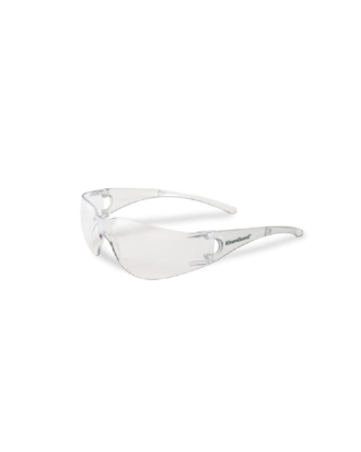 LENTE V10 ELEMENT CLEAR - KLEENGUARD