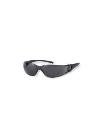 LENTE V10 ELEMENT SMOKE - KLEENGUARD